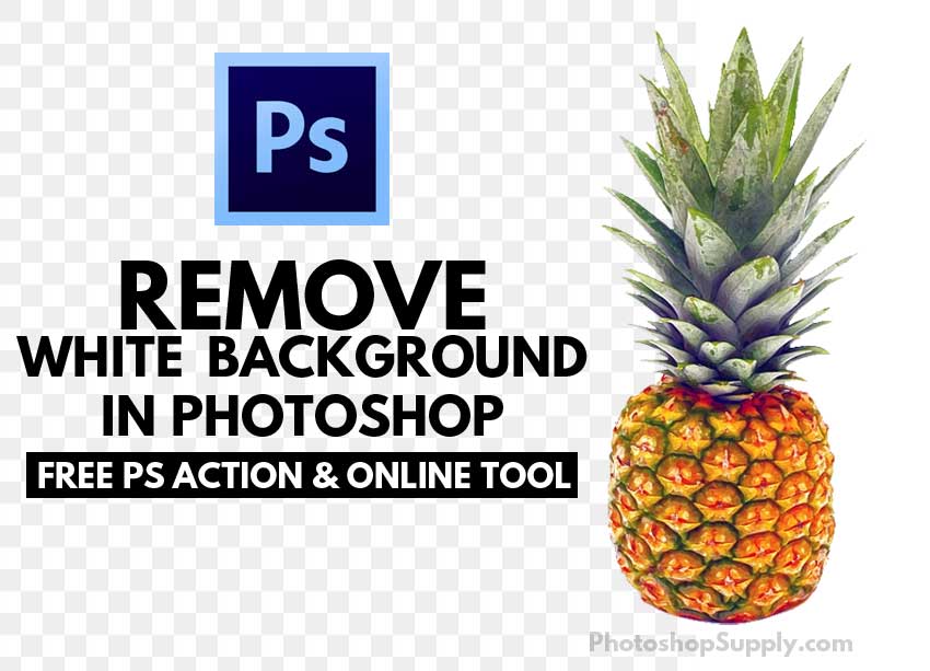 FREE) Remove White Background Photoshop - Photoshop Supply