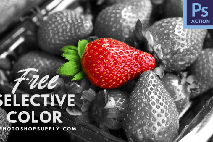 Selective Color Photoshop Action