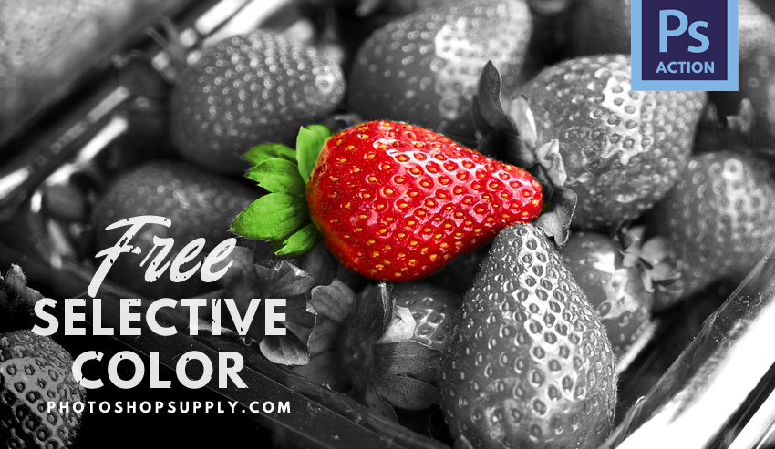 Selective Color Photoshop Action