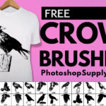 Crow Brushes