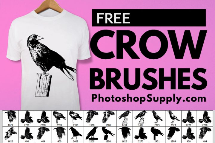 Crow Brushes