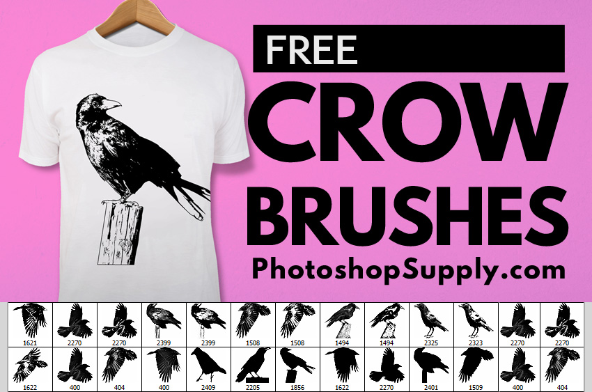 Crow Brushes