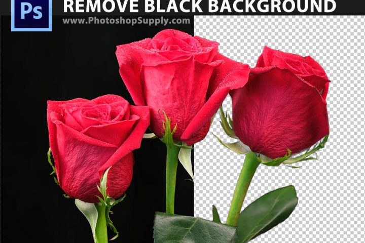 Remove Black Background Photoshop