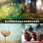 Blurred Backgrounds