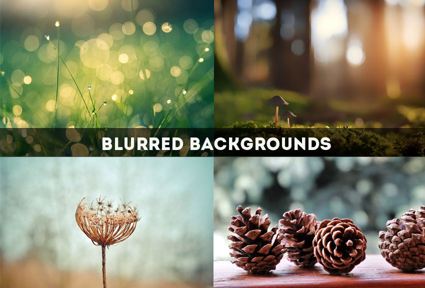 Blurred Backgrounds