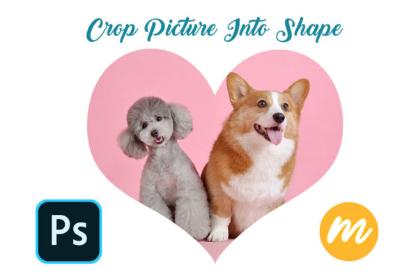 (FREE) Crop Pictures Into Shapes - Photoshop Supply