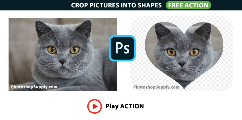 Crop Pictures Into Shapes