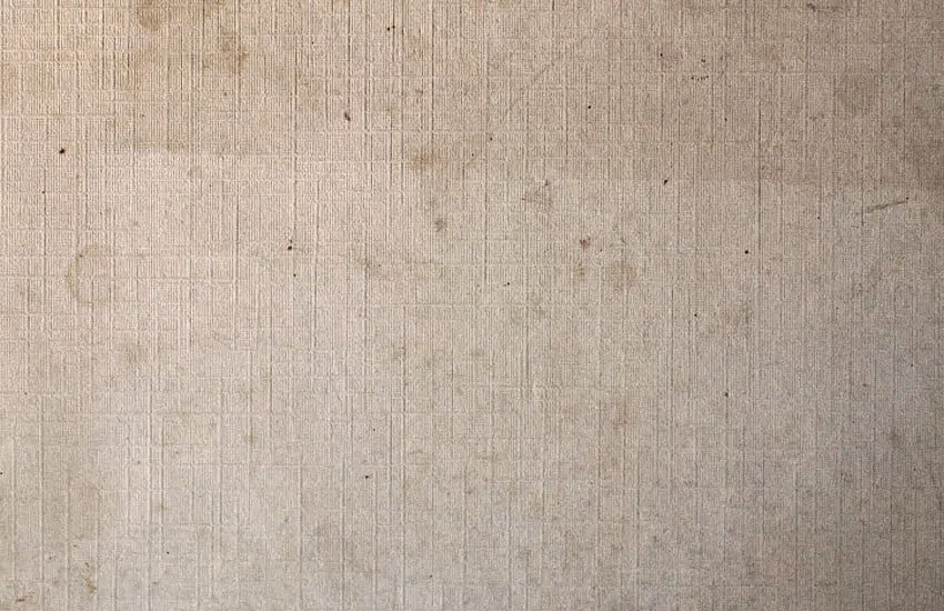 FREE) Canvas Texture
