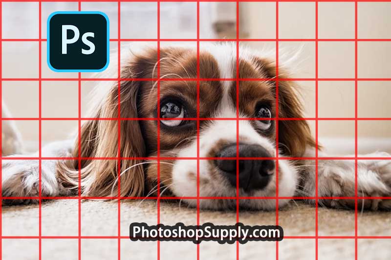 Photoshop Grid