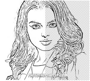 [FREE ] Line Art Photoshop Tutorial & Action