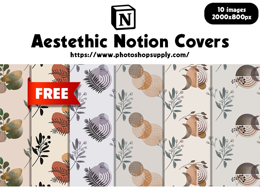 Aesthetic Notion Covers