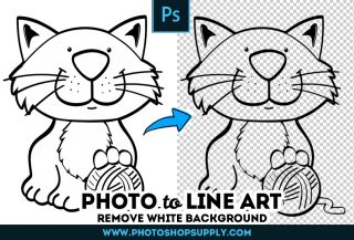 Line Art Remove White Background Photoshop Action