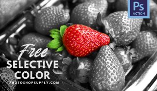 Selective Color Photoshop Action